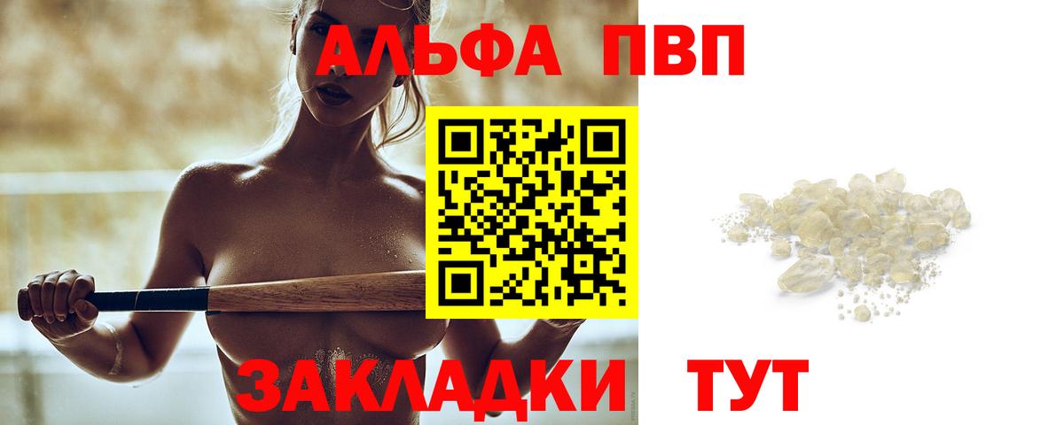 A PVP СК Горно-Алтайск