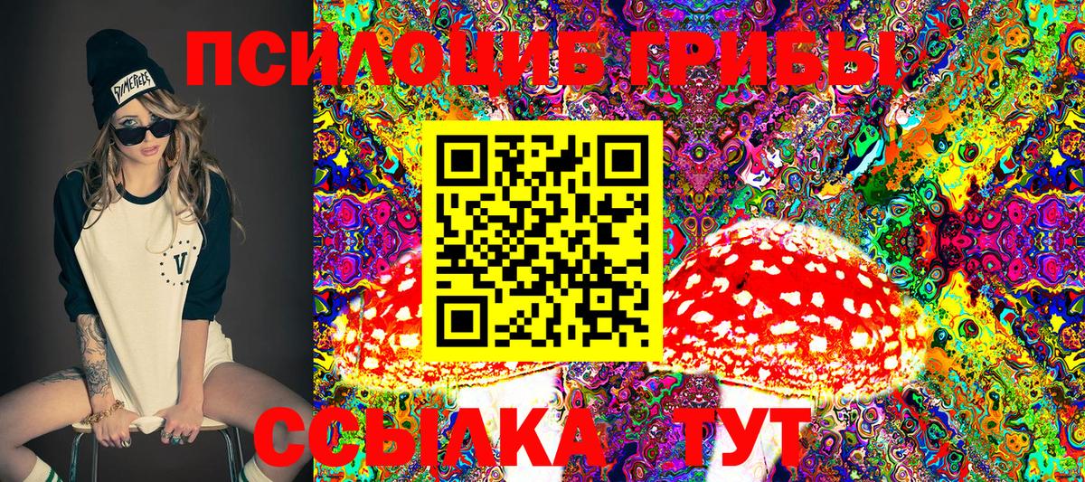 Галлюциногенные грибы Psilocybine cubensis  Вход с VPN  Горно-Алтайск 